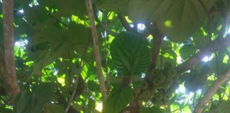 Malika Brahiti : la crise sanitaire est l’occasion de repenser notre vision du monde