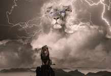 Nous et Eux, de la guerre à la Souveraineté de l’Être !