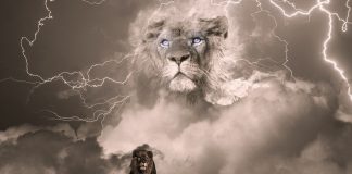 Nous et Eux, de la guerre à la Souveraineté de l’Être !