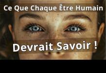 7 Leçons De Vie Fondamentale