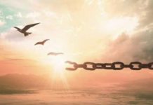 Voyage d’Émancipation