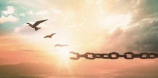 Voyage d’Émancipation