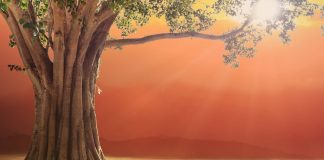 Mantra de guérison – Prana Apana Sushumna Hari