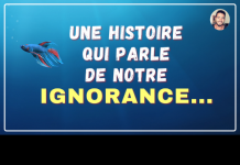 Une Histoire Spirituelle