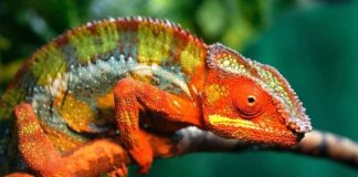 Soyez flexible pour rester en paix