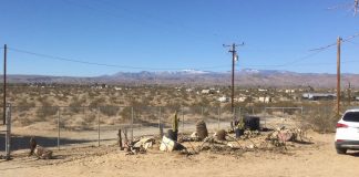 Voyage aux frontières de la vie : épisode 5, l’événement perçu partout dans le monde