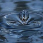 Ragi Kadirgamar : “Nous ne sommes pas le personnage, mais tout l’Univers.”