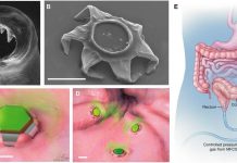 RÉCLAMATION : les écouvillons du test PCR peuvent contenir des “microdispositifs en forme d’étoile” qui vaccinent secrètement le “vaccin hésitant”