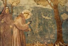 Langue des oiseaux : live avec François Bleuez , 2° partie.