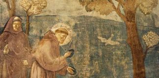 Langue des oiseaux : live avec François Bleuez , 2° partie.