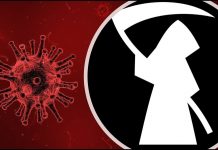 1962-2020 : la moisson des morts à travers les âges