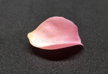 Message aux initiés – 19