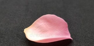 Message aux initiés – 19