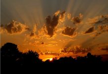 A la recherche de ton visage – Rumi