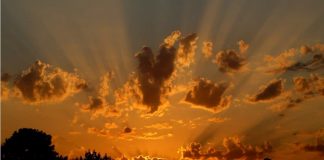 A la recherche de ton visage – Rumi