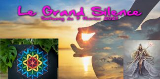 Le Grand Silence – Satsang du 07 janv. 2021