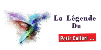 Une Histoire d’Actualité