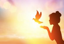 Etre souverain: quitter la sous France en s’ inscrivant à la common law court.