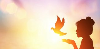 Etre souverain: quitter la sous France en s’ inscrivant à la common law court.