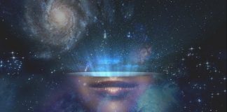 Le panpsychisme et le modèle de la “conscience seule”