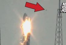 Elon Musk a t il enfin obtenu son covispass(ial) ?