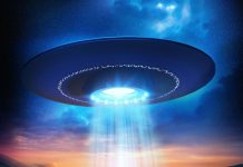 Ovnis: immatériels ou biologiques ?