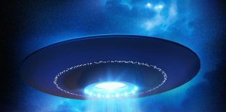 Ovnis: immatériels ou biologiques ?