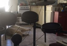 Les alchimistes du dimanche la mardi