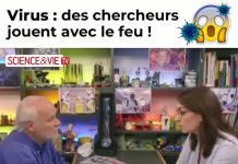 Virus : des chercheurs jouent avec le feu !