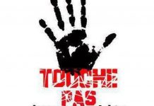 Les incroyables prophéties de François Bleuez décryptées par le symbolisme et la langue des oiseaux.