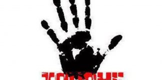 Les incroyables prophéties de François Bleuez décryptées par le symbolisme et la langue des oiseaux.