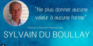 Sylvain du Boullay “Ne plus donner aucune valeur à aucune forme” + sujet “du cours”…