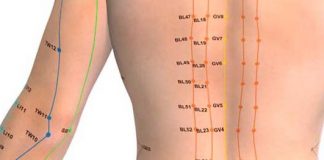 Les bienfaits de l’acupression et du tapis de fleurs sur la santé et le mal de dos !
