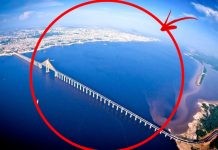 Pourquoi aucun pont ne franchit l’amazone ? Le fleuve le plus étonnant