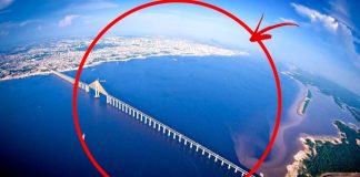 Pourquoi aucun pont ne franchit l’amazone ? Le fleuve le plus étonnant