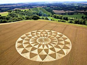 crop circle