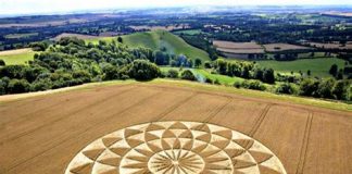 Enseignement de Midaho-Johany sur les crop-circle