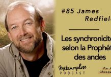 James Redfield : La puissance des synchronicités