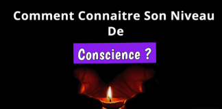 Niveau De Conscience