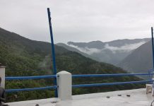 Tabac, plantes sacrées, nourriture, et Réveil au Soi… les réponses à nos questions…