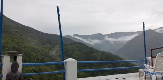 Tabac, plantes sacrées, nourriture, et Réveil au Soi… les réponses à nos questions…