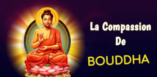 Bouddha