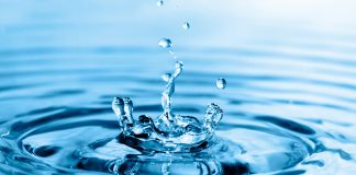 Fabienne Raoul : Et si l’eau avait une conscience ?