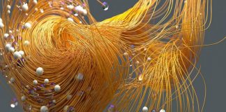 Reconnaître le pur-esprit