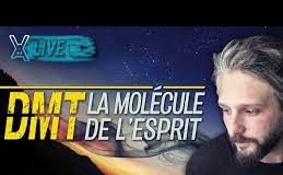 DMT: La molécule de L’ESPRIT / Balthazar BENADON