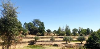 Rêve du Port du Graal