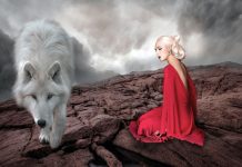 La Loba, libère “l’âme agit” du loup en toi !