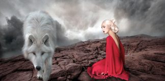 La Loba, libère “l’âme agit” du loup en toi !