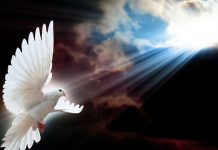 Comment “J” a utilisé il y a 2000 ans tout le savoir mystique Bouddhique et Juif correspondant aux découvertes des physiciens d’aujourd’hui ?