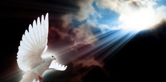 Comment “J” a utilisé il y a 2000 ans tout le savoir mystique Bouddhique et Juif correspondant aux découvertes des physiciens d’aujourd’hui ?